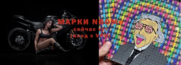 сатива Россошь