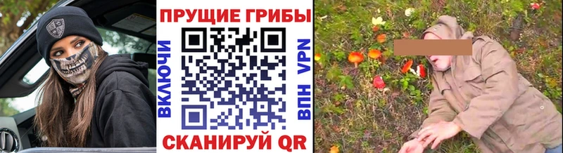 Галлюциногенные грибы мухоморы цены наркотик Злынка